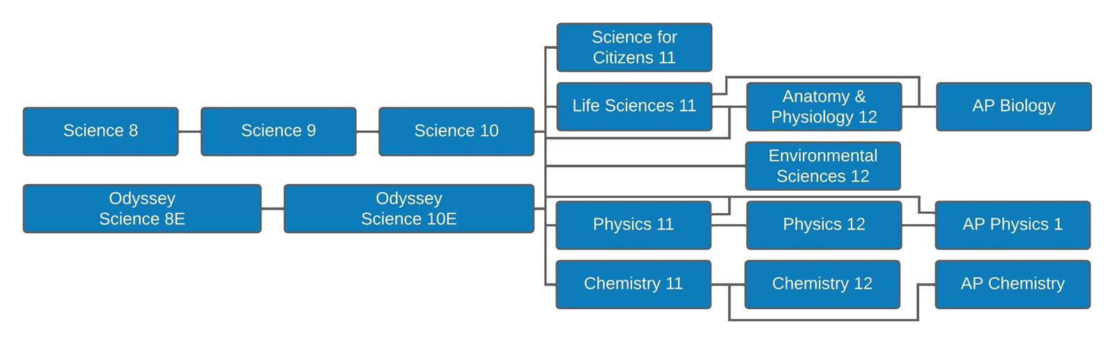 Course%20Selection%20Flowchart%20No%20AP%20Phy2%20or%20AP%20EnvSci%20Columns%20and%20Rows%20v.%20Nov2024.jpeg