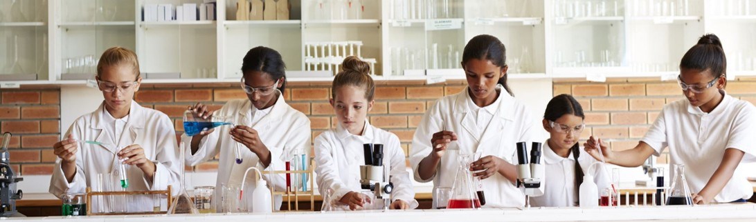 L'ecole Bilingue Elementary School