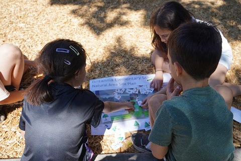 Ongoing Sustainability Initiatives