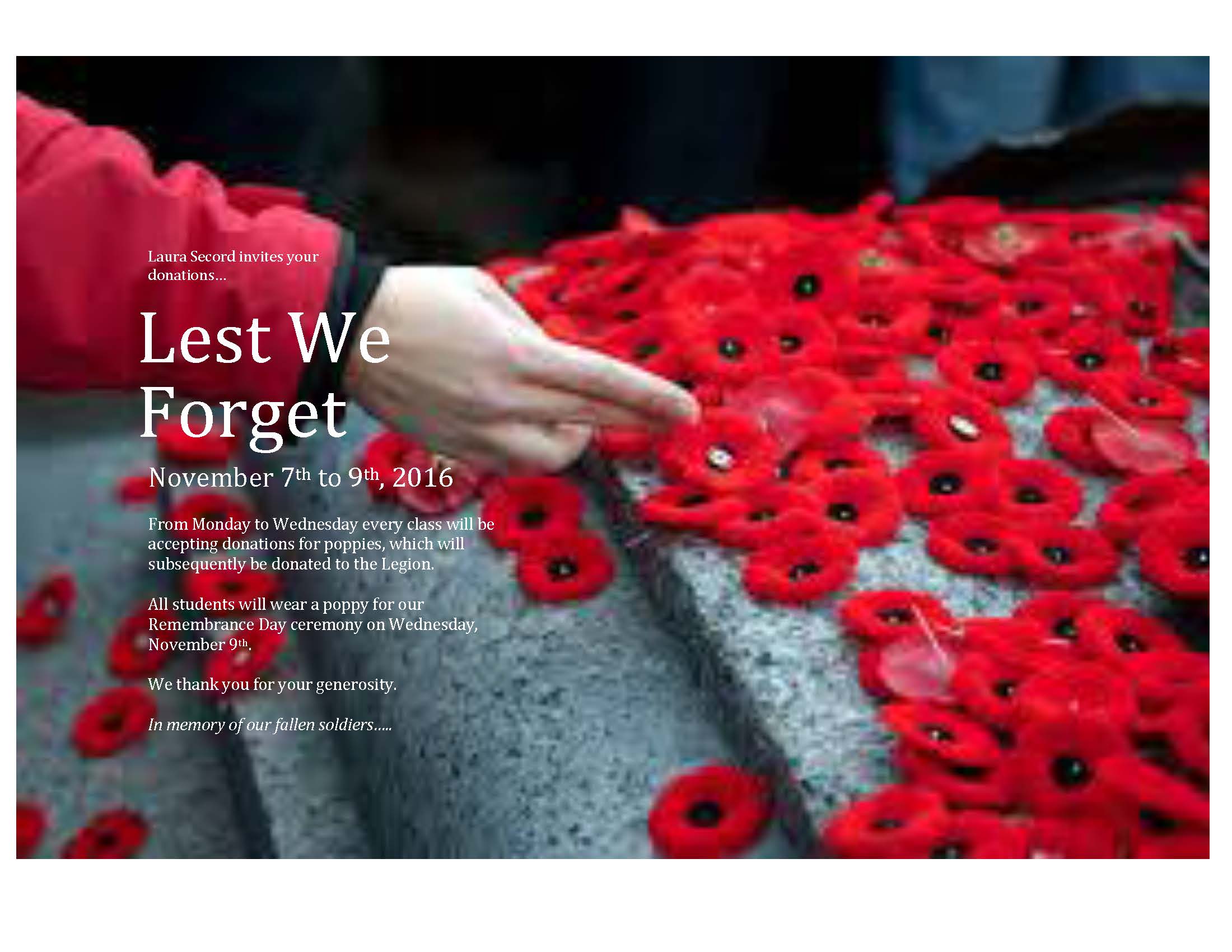remembrance-day-poppy-donations.f5486928407.jpg