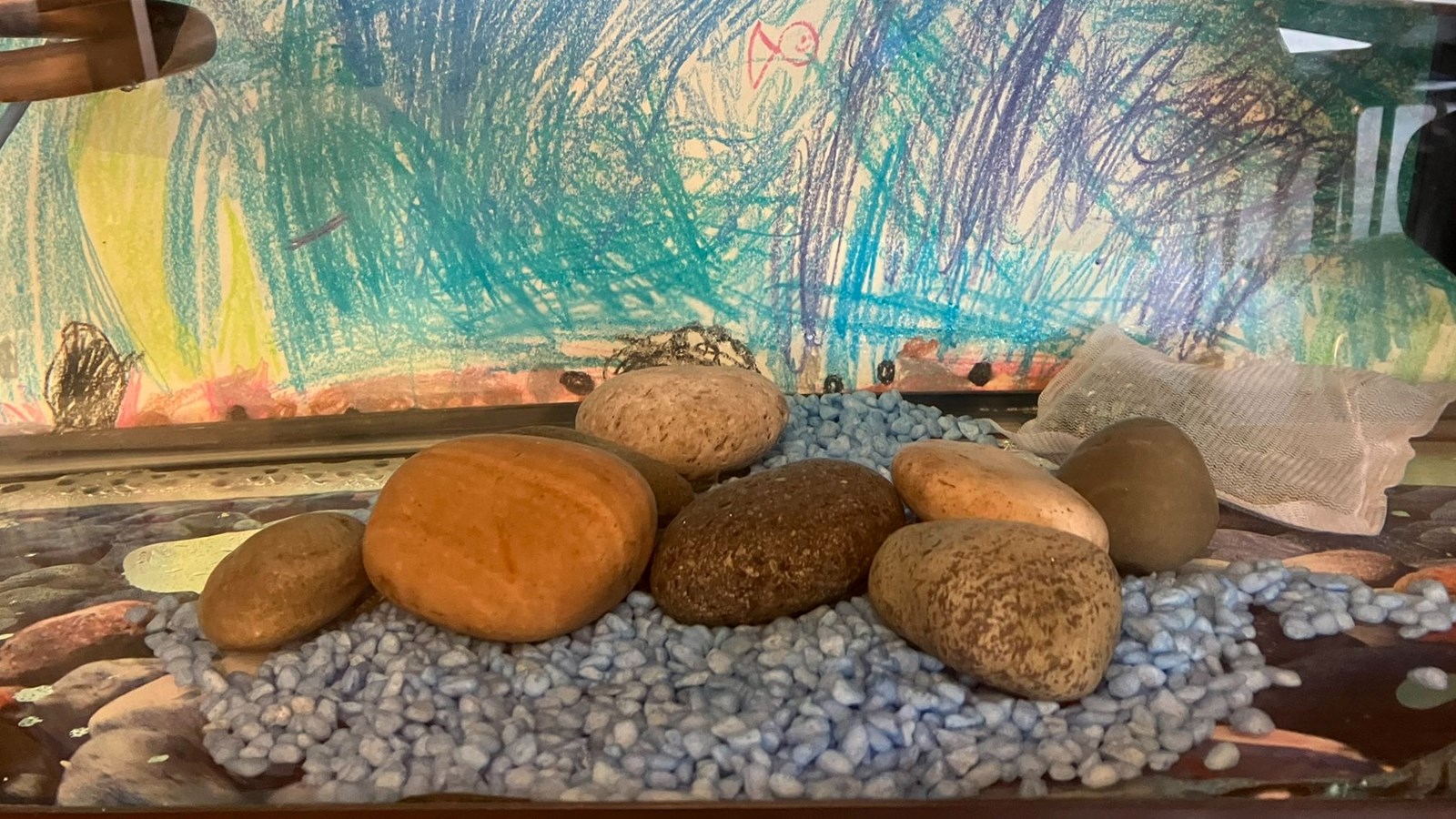 Salmon Tank